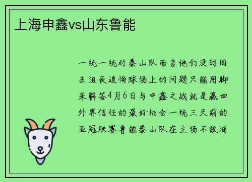上海申鑫vs山东鲁能